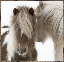 Load image into Gallery viewer, Animal Inspired Sign Decor