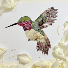 Load image into Gallery viewer, Oxeye Floral 5x7 Art Print