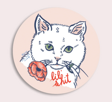 Load image into Gallery viewer, Vinyl Stickers (Stay Home Club)
