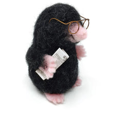 Load image into Gallery viewer, Needle Felting Craft Kit