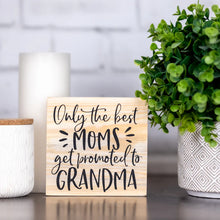Load image into Gallery viewer, Twin Timbers Block Signs (Family & Pets)
