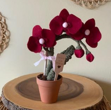 Load image into Gallery viewer, Macrame & Felt Botanical Creations (Store)