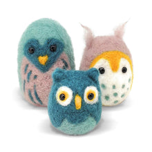 Load image into Gallery viewer, Needle Felting Craft Kit