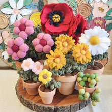 Load image into Gallery viewer, Macrame & Felt Botanical Creations (Store)