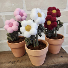 Load image into Gallery viewer, Macrame & Felt Botanical Creations (Store)