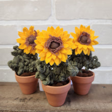 Load image into Gallery viewer, Macrame & Felt Botanical Creations (Store)