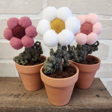 Load image into Gallery viewer, Macrame & Felt Botanical Creations (Store)