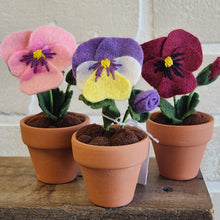 Load image into Gallery viewer, Macrame & Felt Botanical Creations (Store)
