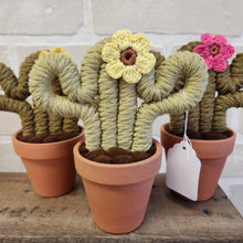 Load image into Gallery viewer, Macrame & Felt Botanical Creations (Store)