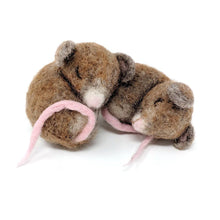 Load image into Gallery viewer, Needle Felting Craft Kit