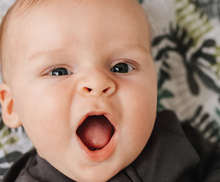 Load image into Gallery viewer, Cotton Muslin Swaddle