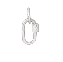 Load image into Gallery viewer, Carabiner Charm