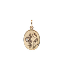 Load image into Gallery viewer, Medallion Charms