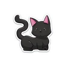 Load image into Gallery viewer, 291620
