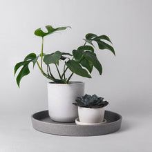 Load image into Gallery viewer, 291666