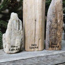 Load image into Gallery viewer, Driftwood Sitka Trees