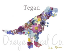 Load image into Gallery viewer, 417843