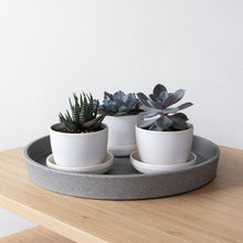 Load image into Gallery viewer, 291667