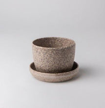 Load image into Gallery viewer, 355981