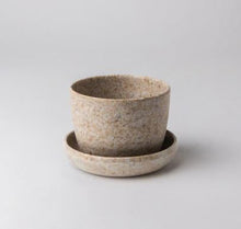 Load image into Gallery viewer, 355982