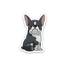 Load image into Gallery viewer, 291625