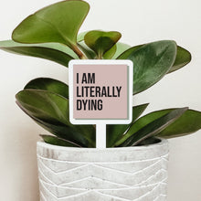 Load image into Gallery viewer, 123146