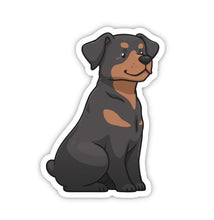 Load image into Gallery viewer, 378001