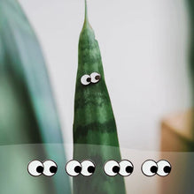 Load image into Gallery viewer, 393352