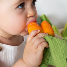 Load image into Gallery viewer, Oli & Carol Mini Doudou Teethers