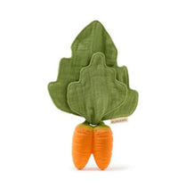 Load image into Gallery viewer, Oli & Carol Mini Doudou Teethers