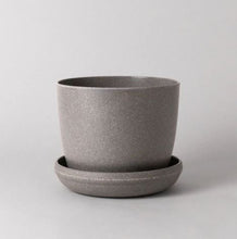 Load image into Gallery viewer, 356145