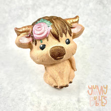 Load image into Gallery viewer, Bath Bombs (by Yummy Bubbles)
