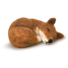 Load image into Gallery viewer, Needle Felting Craft Kit