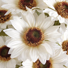Load image into Gallery viewer, Autumn Florals
