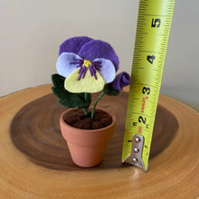 Load image into Gallery viewer, Macrame &amp; Felt Botanical Creations (Store)
