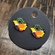Load image into Gallery viewer, Indigenous Hand Beaded Studs
