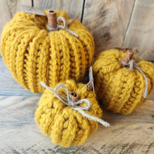 Load image into Gallery viewer, Crocheted Pumpkins
