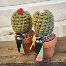 Load image into Gallery viewer, Crochet Cacti Minis
