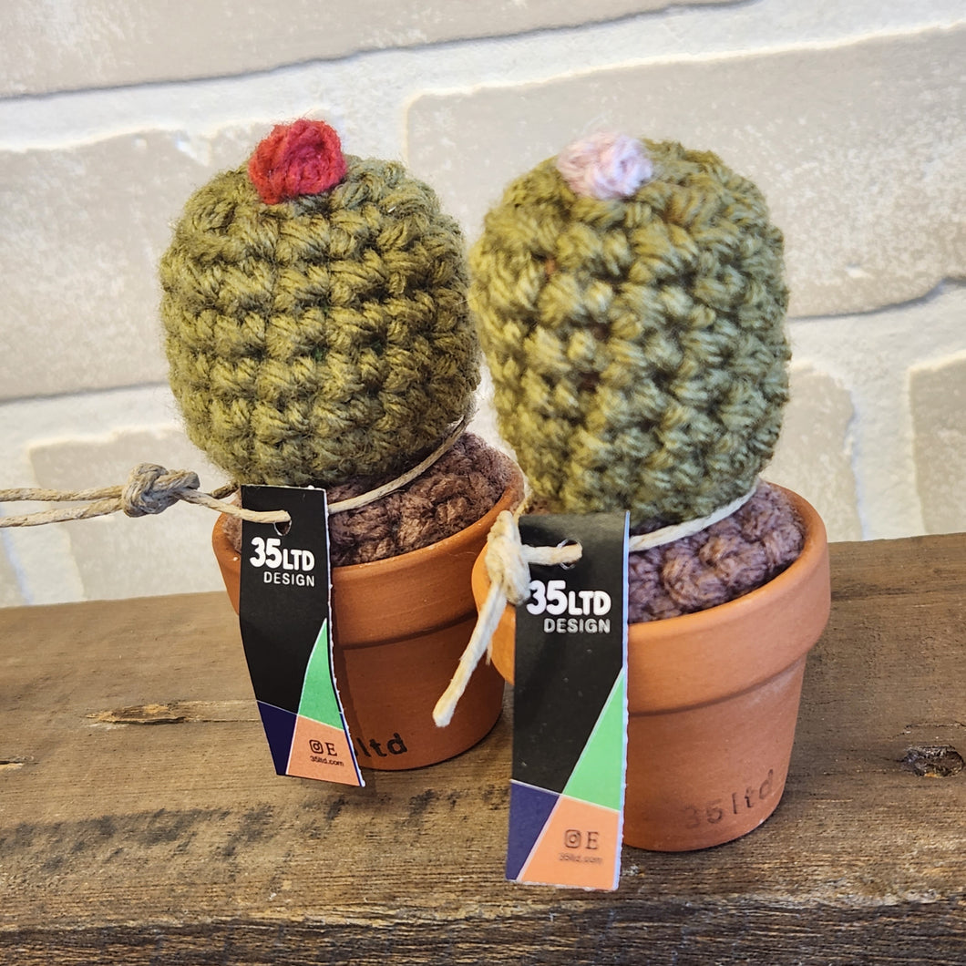 Crochet Cacti Minis