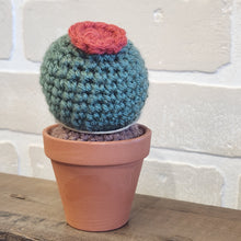 Load image into Gallery viewer, Crochet Cacti
