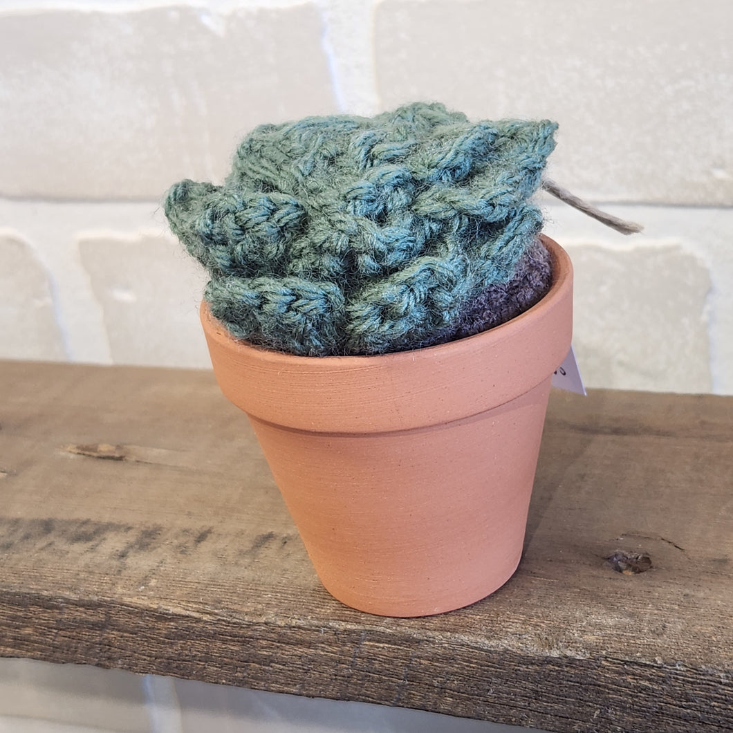 Crocheted Succulents