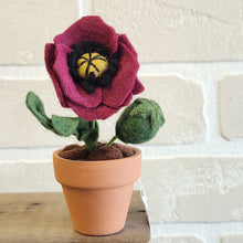 Load image into Gallery viewer, Macrame &amp; Felt Botanical Creations
