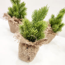 Load image into Gallery viewer, Mini Burlap Trees
