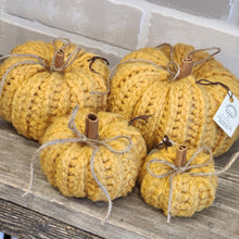 Load image into Gallery viewer, Crocheted Pumpkins
