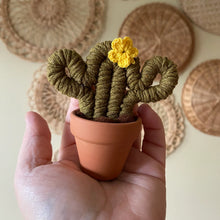 Load image into Gallery viewer, Macrame &amp; Felt Botanical Creations (Store)
