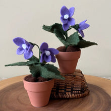Load image into Gallery viewer, Macrame &amp; Felt Botanical Creations (Store)
