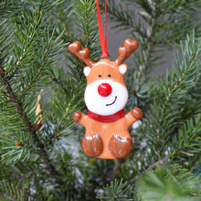 Load image into Gallery viewer, Glass Ornaments
