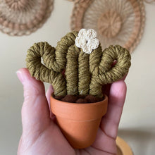 Load image into Gallery viewer, Macrame &amp; Felt Botanical Creations (Store)
