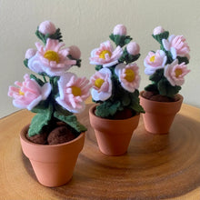Load image into Gallery viewer, Macrame &amp; Felt Botanical Creations (Store)
