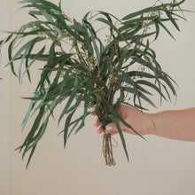 Load image into Gallery viewer, Preserved Eucalyptus &amp; Greens
